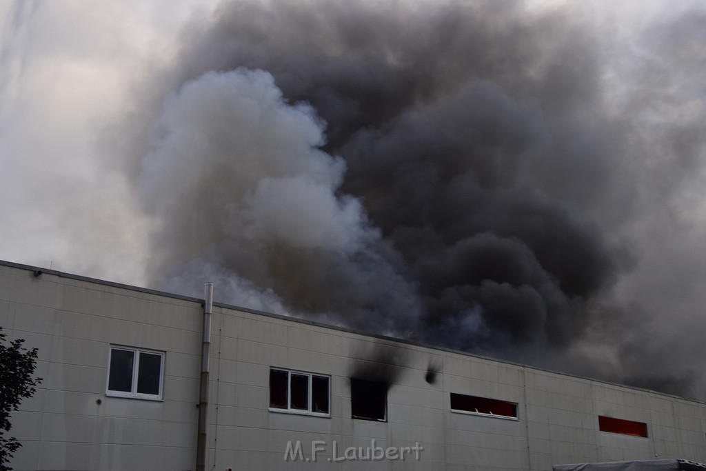 Grossbrand Halle Troisdorf Kriegsdorf Junkersring P100.JPG - Miklos Laubert